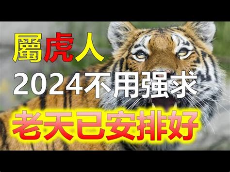 63年次屬虎|【屬虎年次】2024年屬虎年次大公開！揭秘虎年生肖者的年齡與。